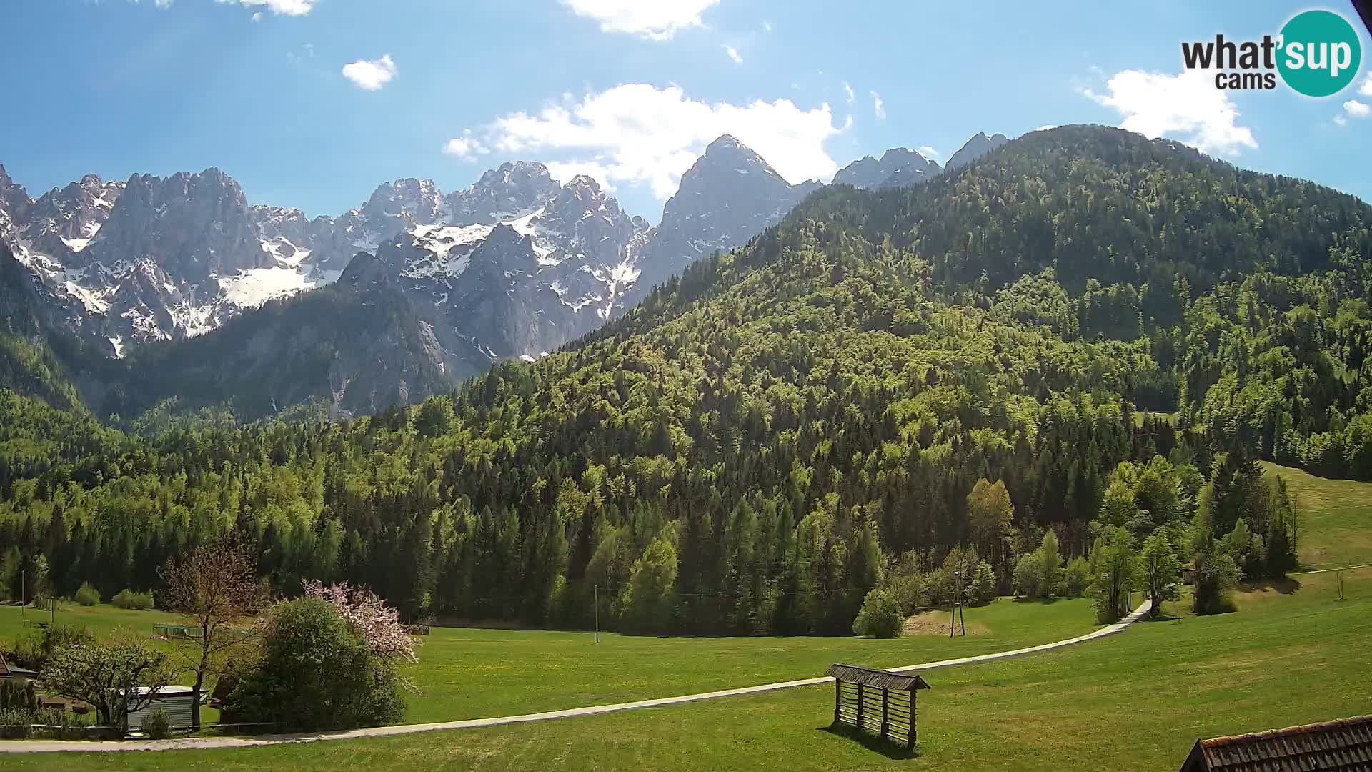 Gozd Martuljek – Špik Mountain Group