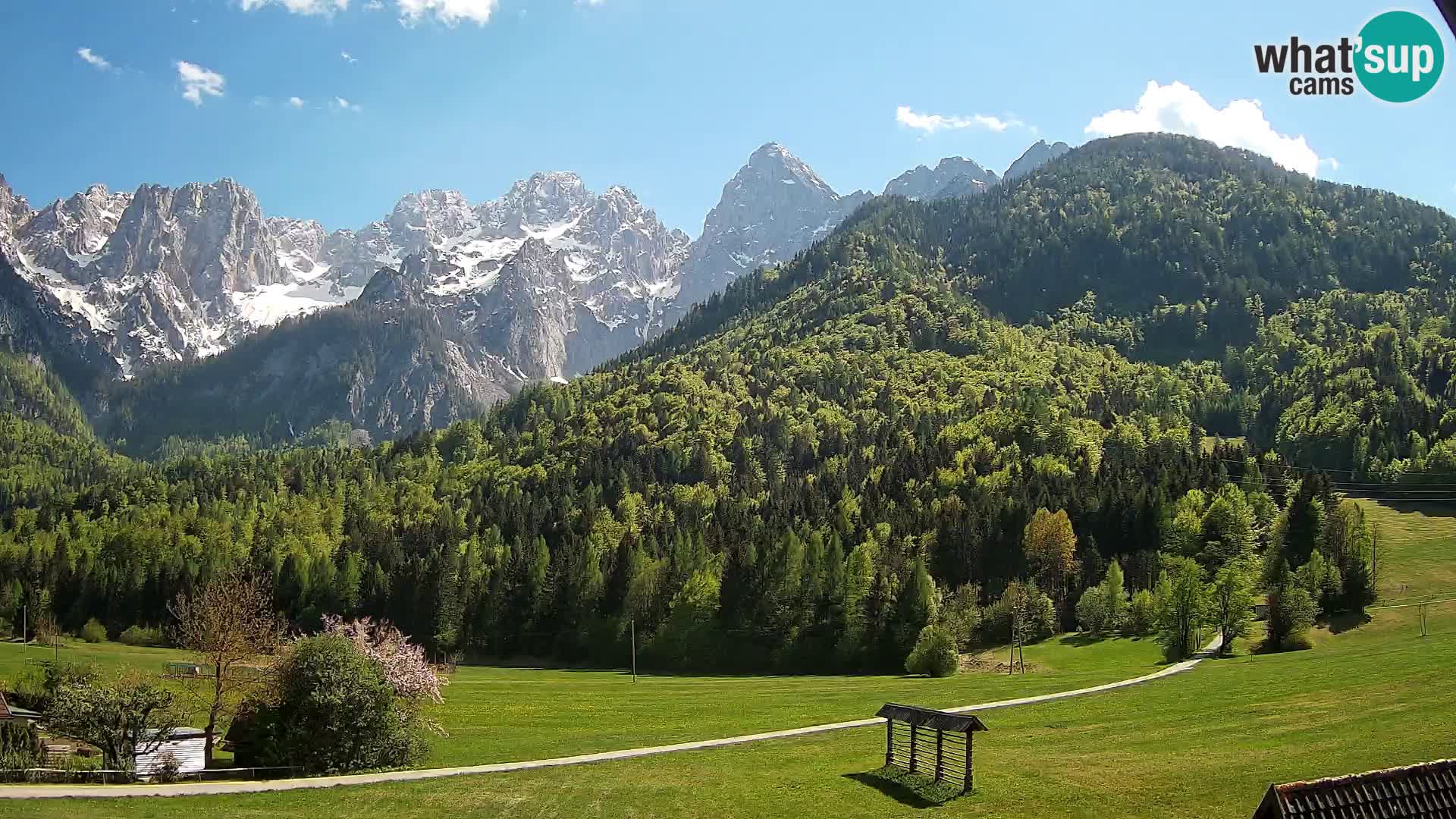 Gozd Martuljek – Špik Mountain Group