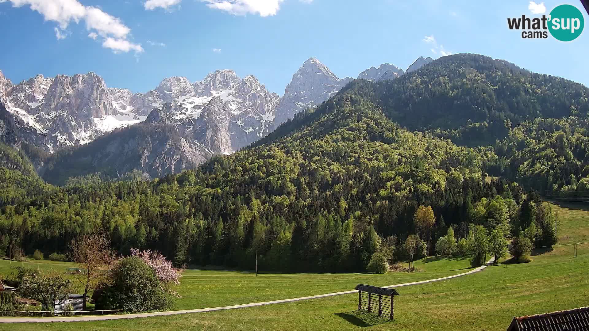 Gozd Martuljek – Špikova skupina