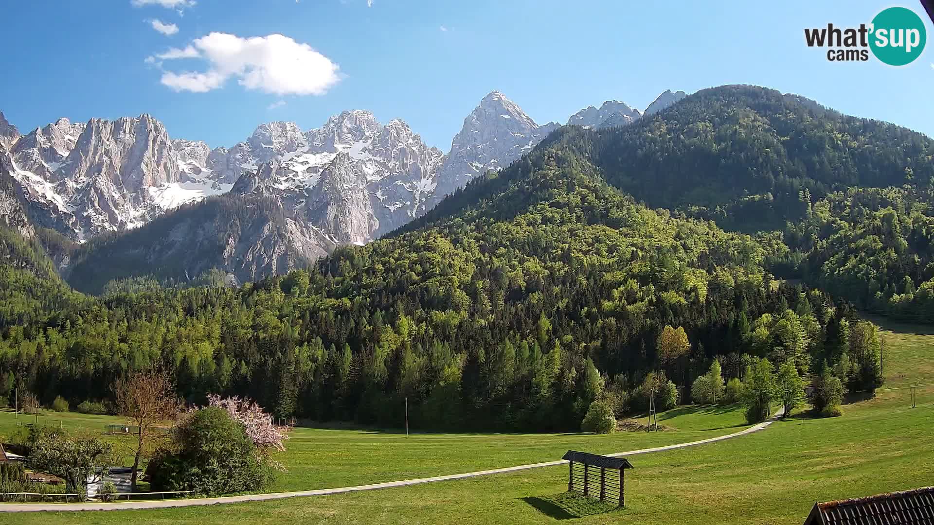 Gozd Martuljek – Špik Mountain Group