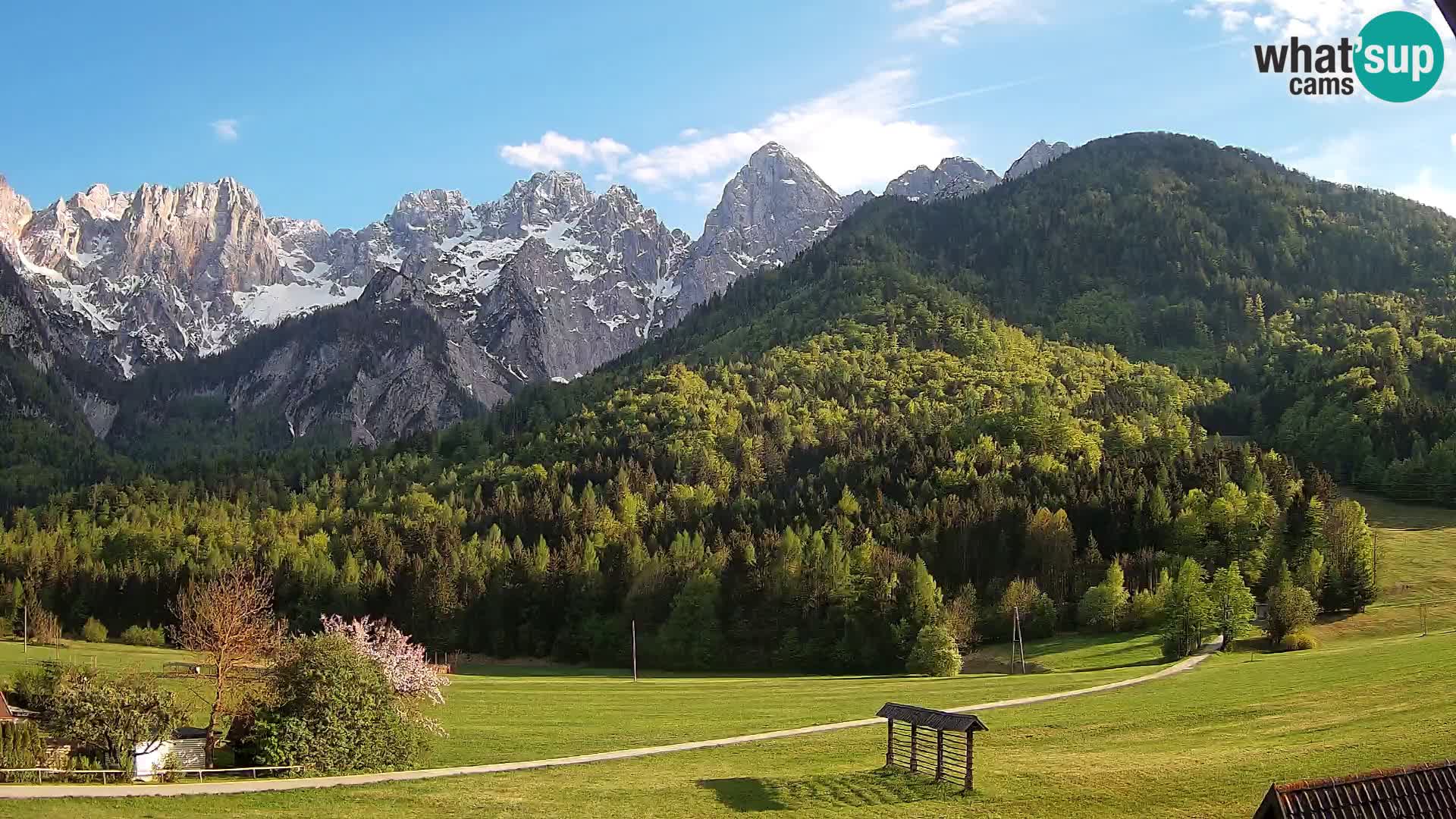 Gozd Martuljek – Špik Mountain Group