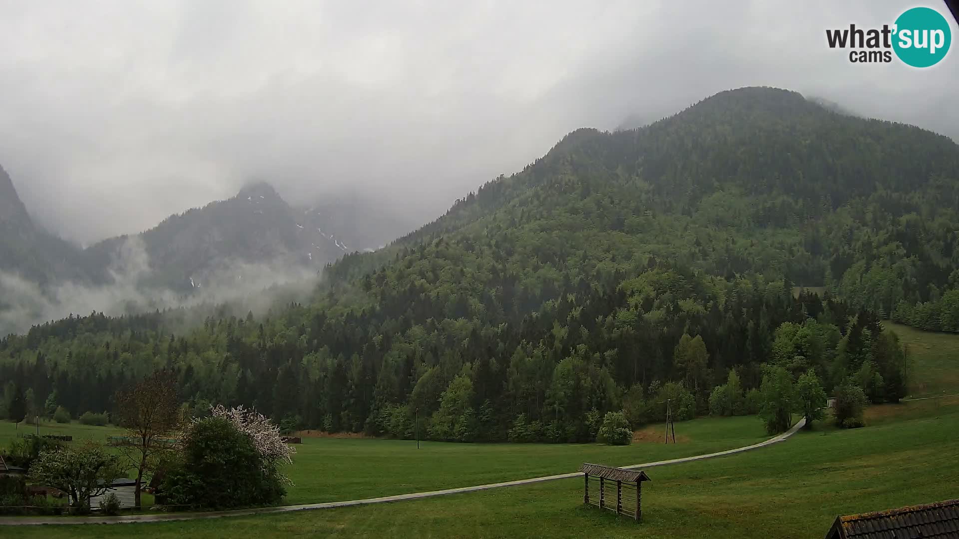 Gozd Martuljek – Špik Mountain Group