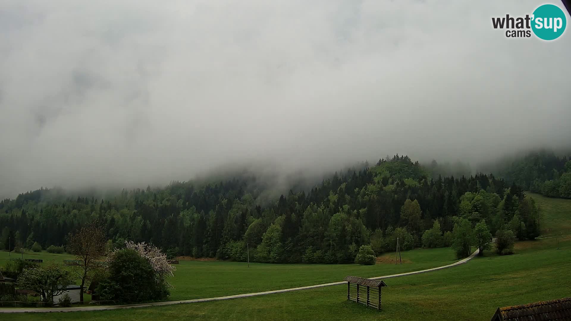 Gozd Martuljek – Špikova skupina