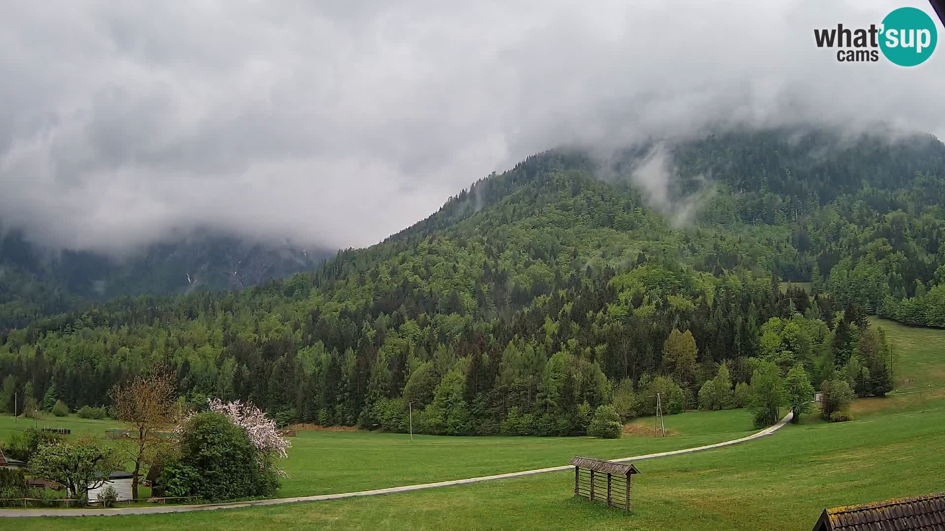 Gozd Martuljek – Špik Mountain Group