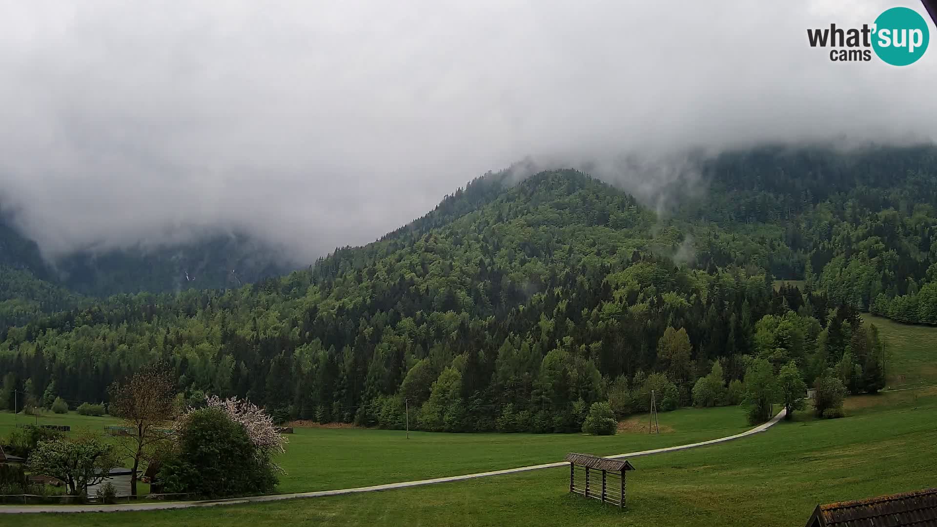 Gozd Martuljek – Špik Mountain Group