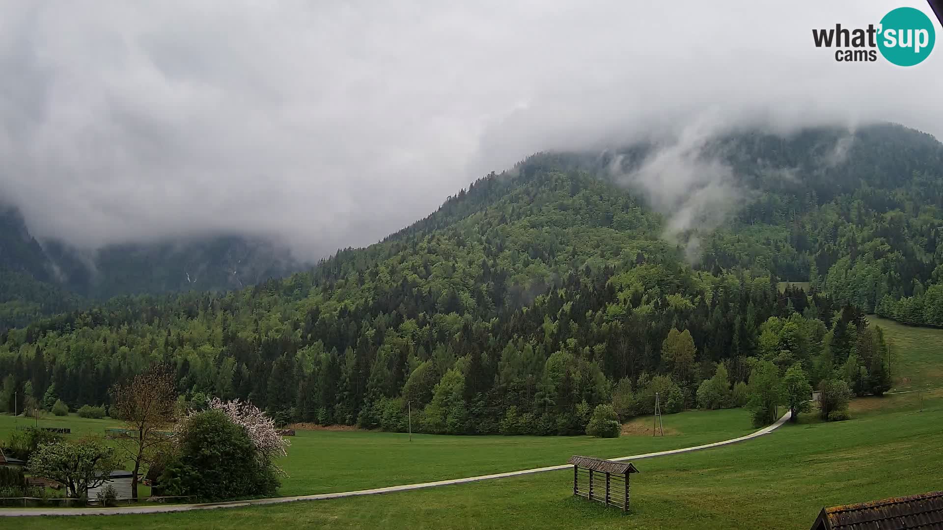 Gozd Martuljek – el grupo Špik