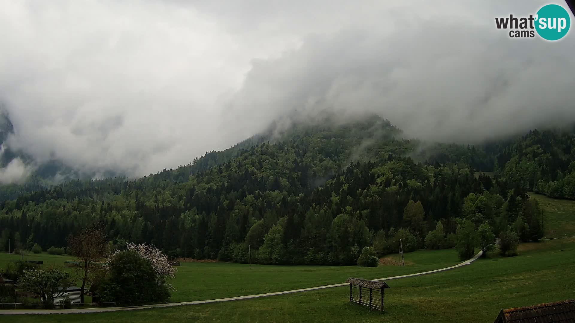 Gozd Martuljek – Špik Mountain Group