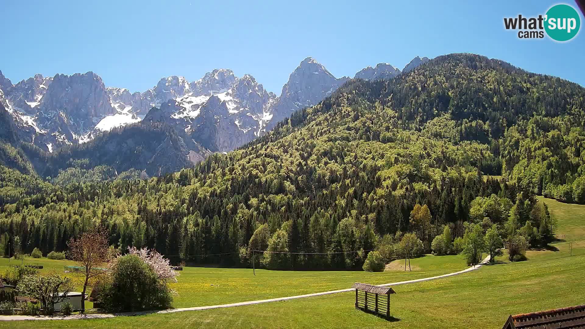 Gozd Martuljek – Špikova skupina