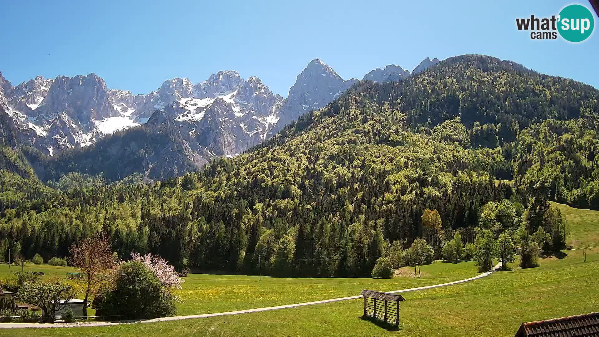 Gozd Martuljek – Špik Mountain Group