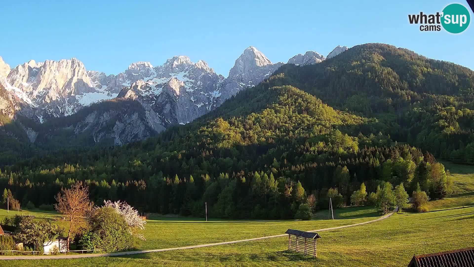 Gozd Martuljek – Špik Mountain Group