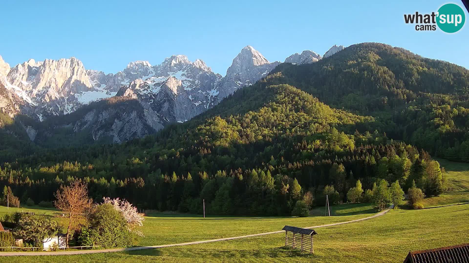 Gozd Martuljek – Špik Mountain Group