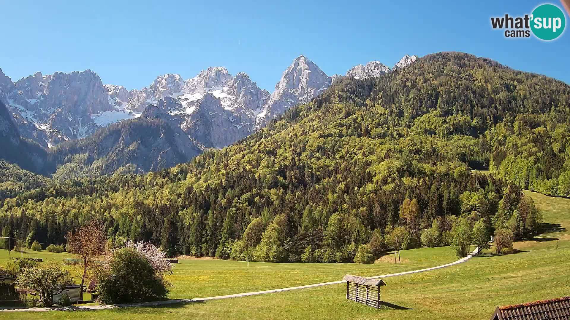 Gozd Martuljek – Špik Mountain Group