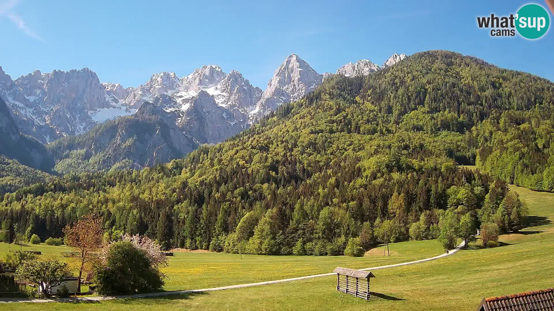 Gozd Martuljek – Špik Mountain Group