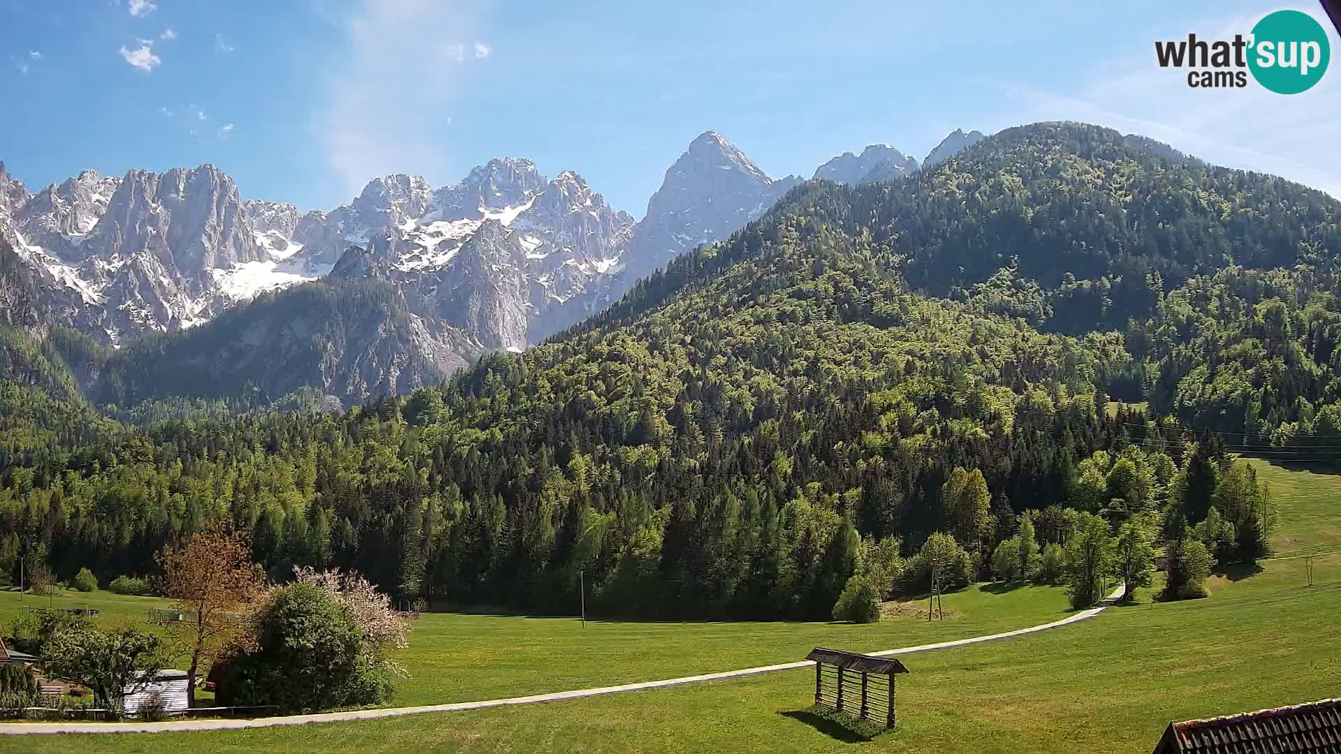 Gozd Martuljek – Špik Mountain Group