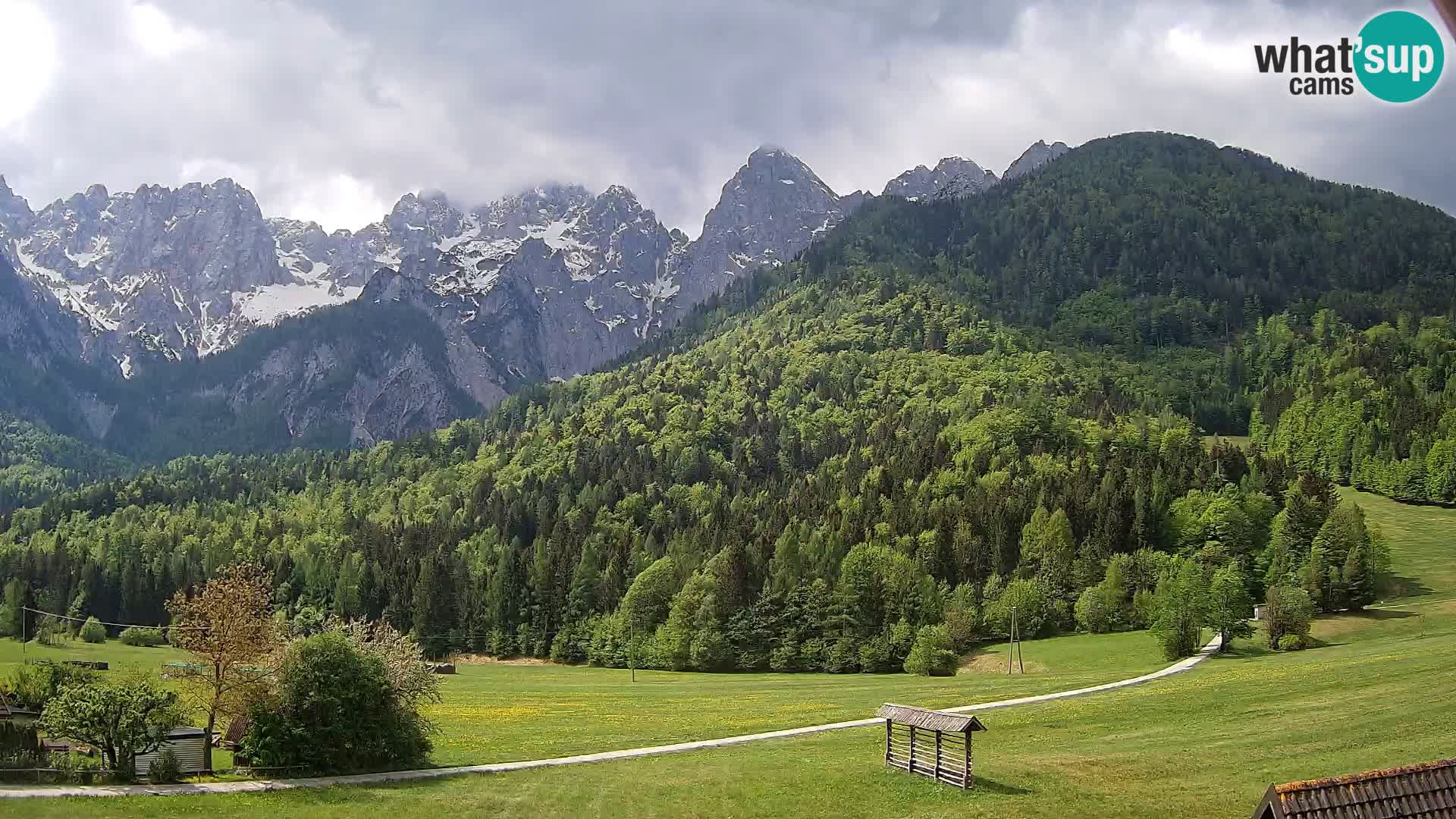 Gozd Martuljek – Špik Mountain Group