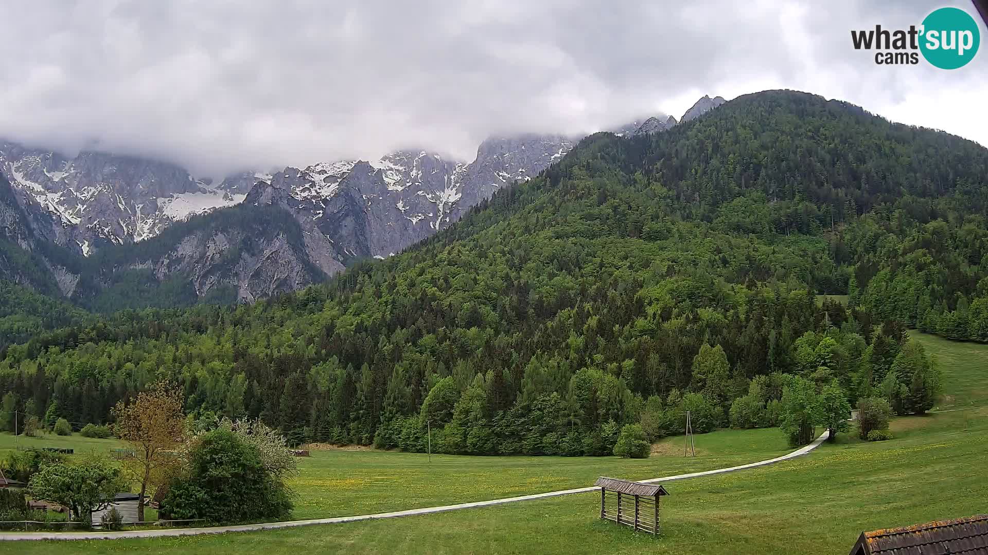 Gozd Martuljek – Špik Mountain Group