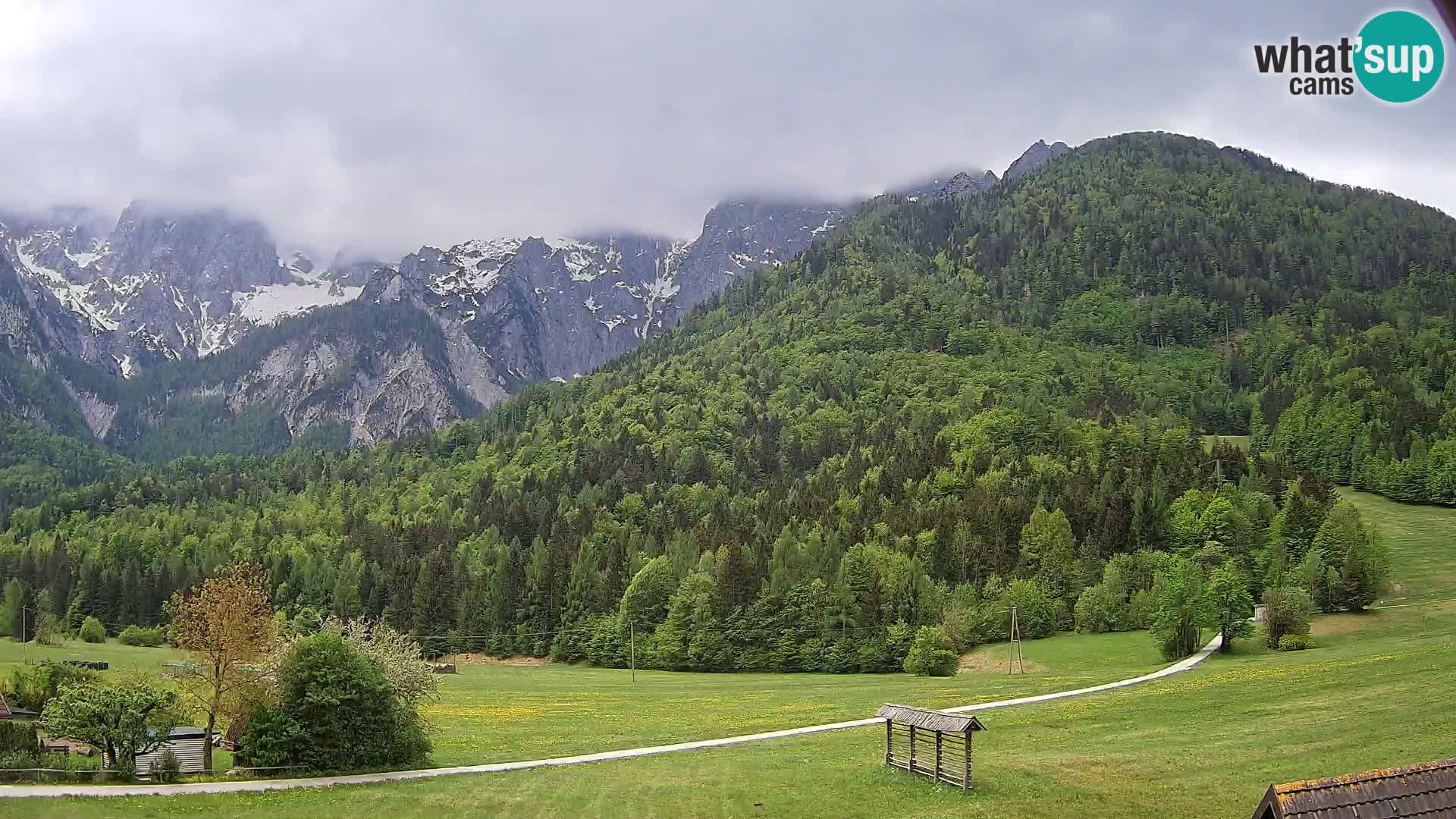 Gozd Martuljek – Špik Mountain Group
