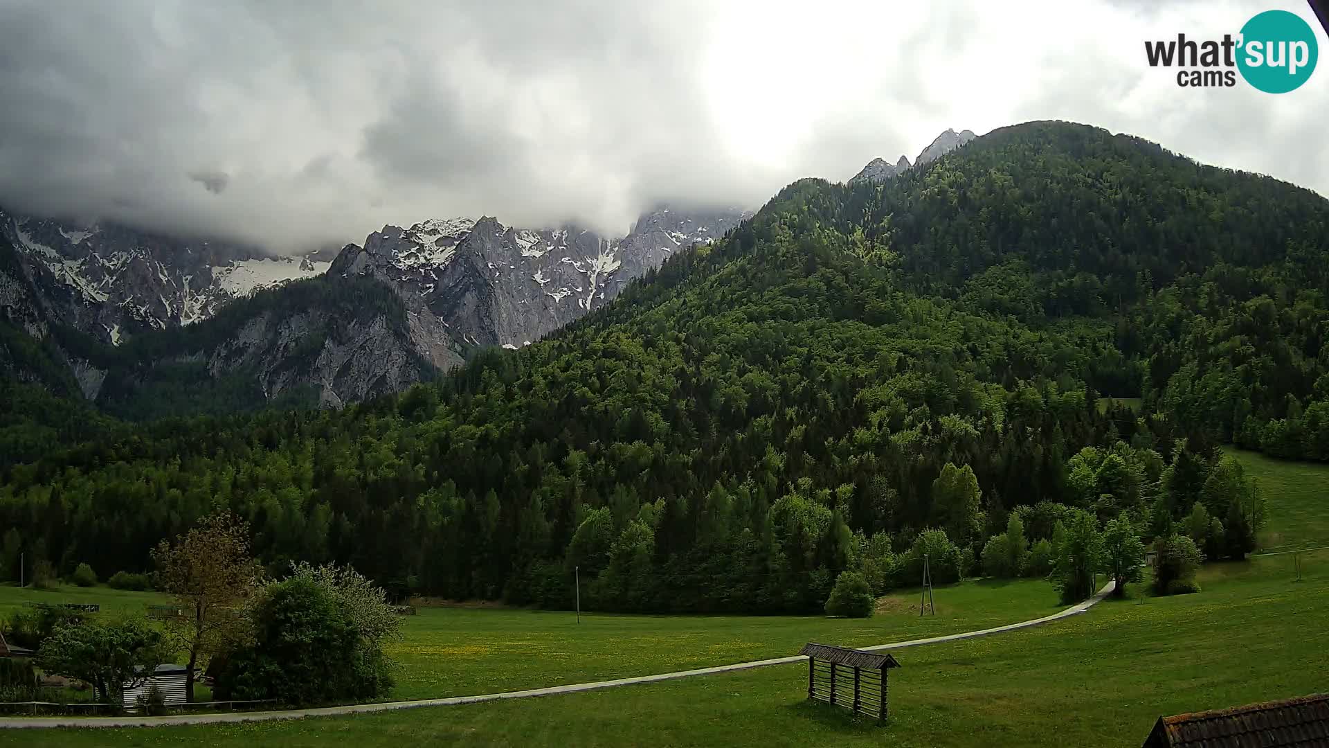 Gozd Martuljek – Špik Mountain Group