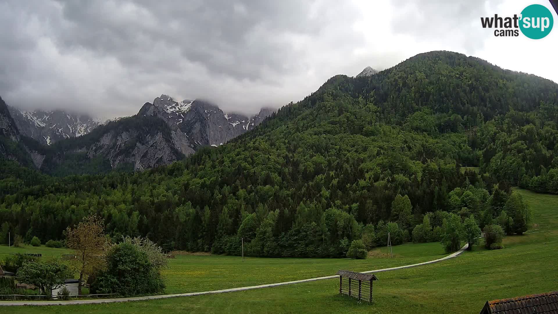 Gozd Martuljek – Špik Mountain Group