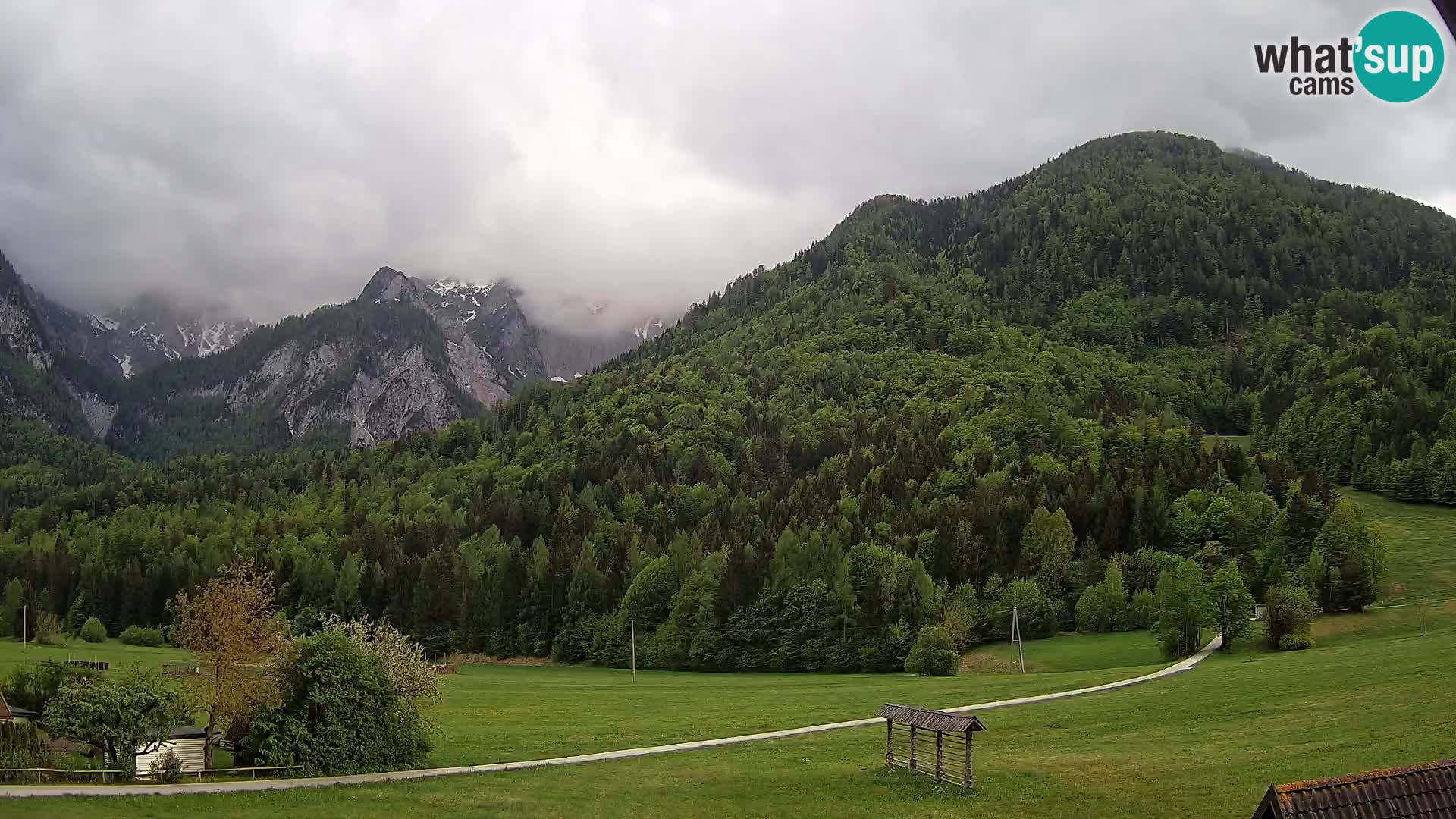 Gozd Martuljek – Špik Mountain Group