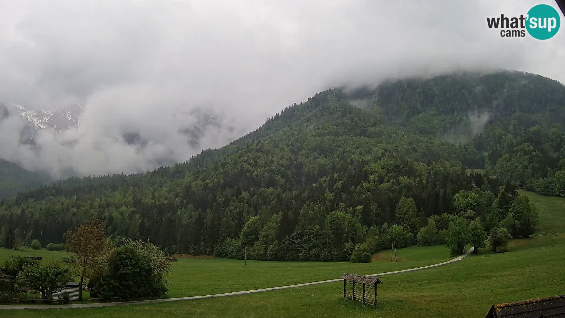 Gozd Martuljek – Špik Mountain Group