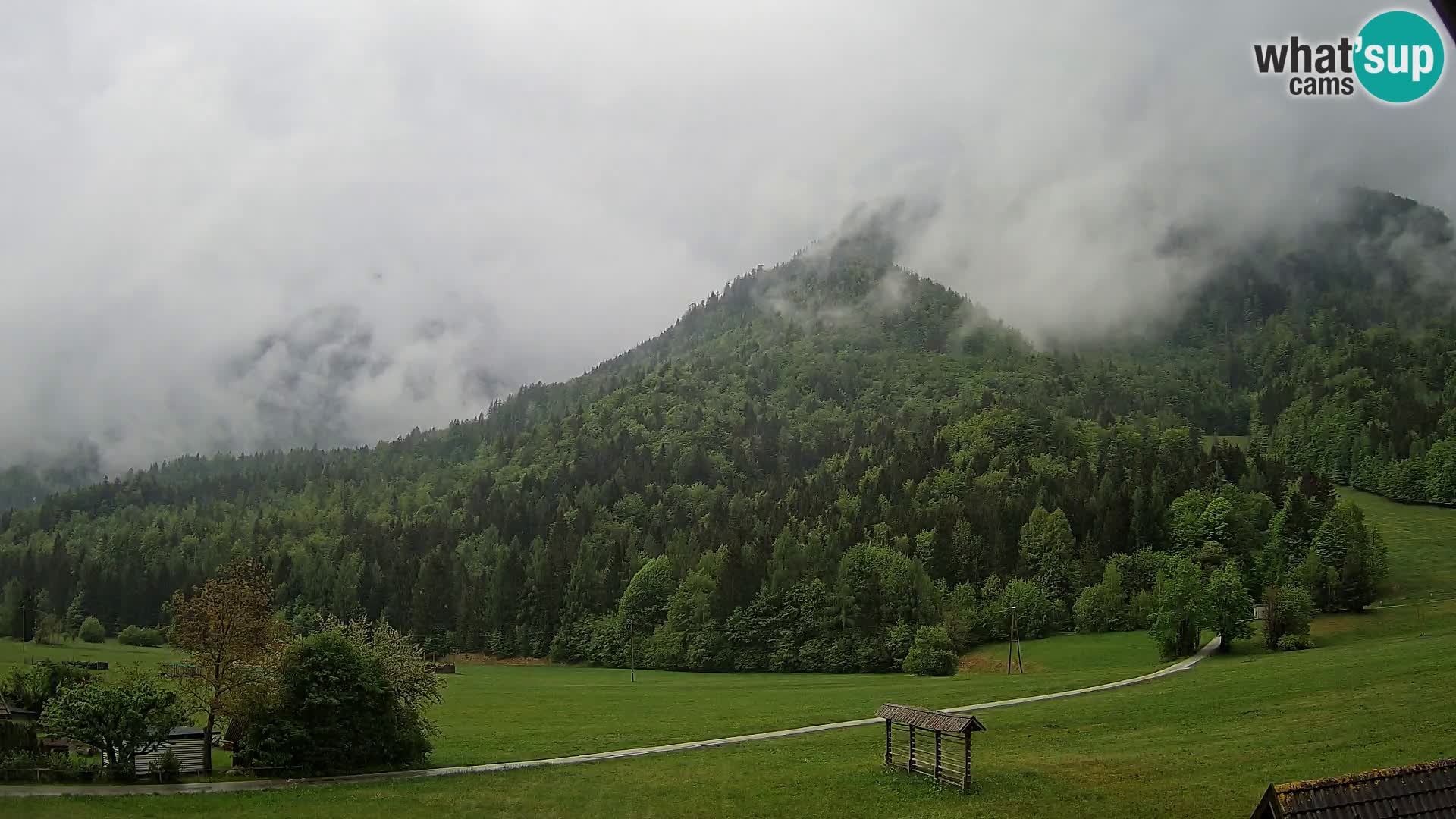 Gozd Martuljek – Špik Mountain Group