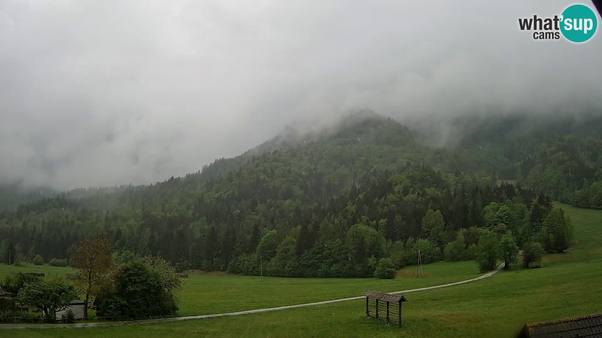 Gozd Martuljek – Špik Mountain Group
