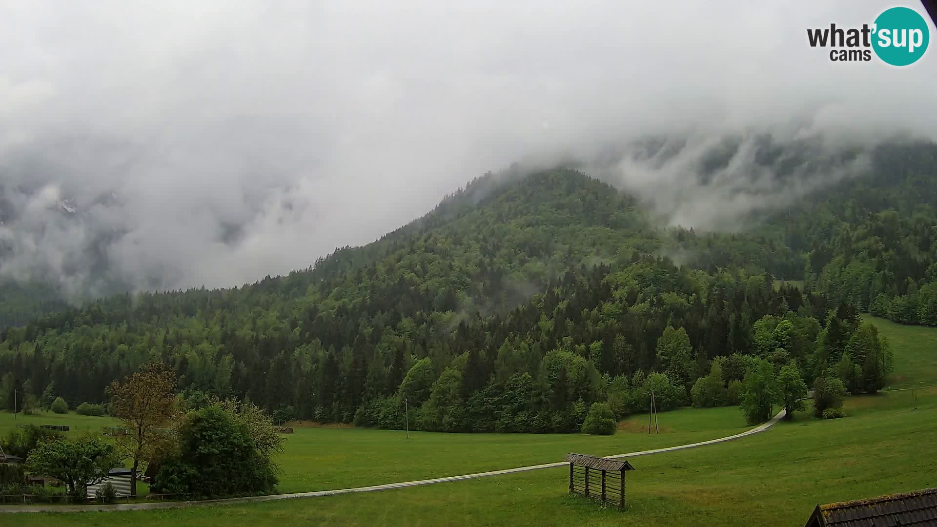 Gozd Martuljek – Špik Mountain Group