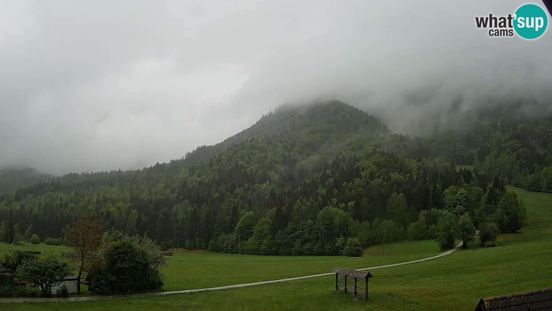 Gozd Martuljek – Špikova skupina
