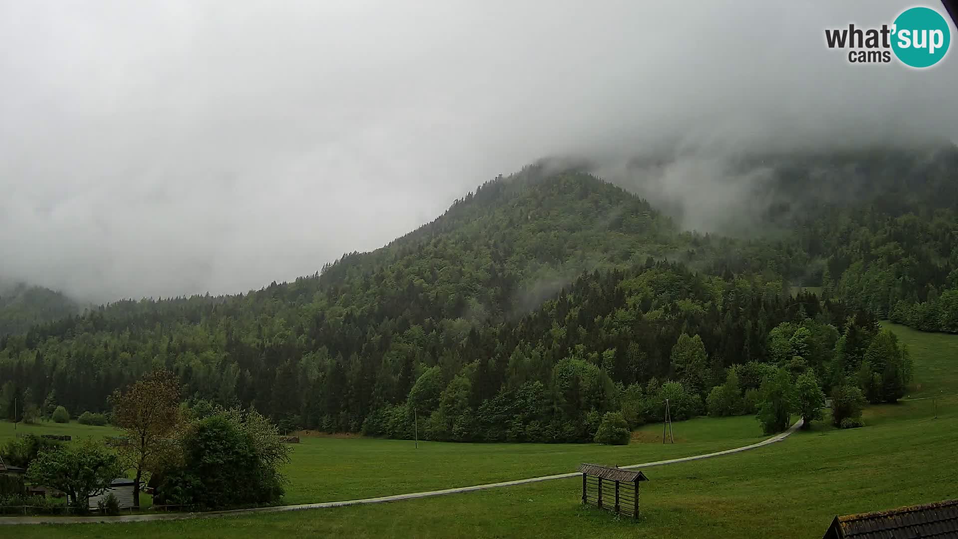 Gozd Martuljek – Špikova skupina