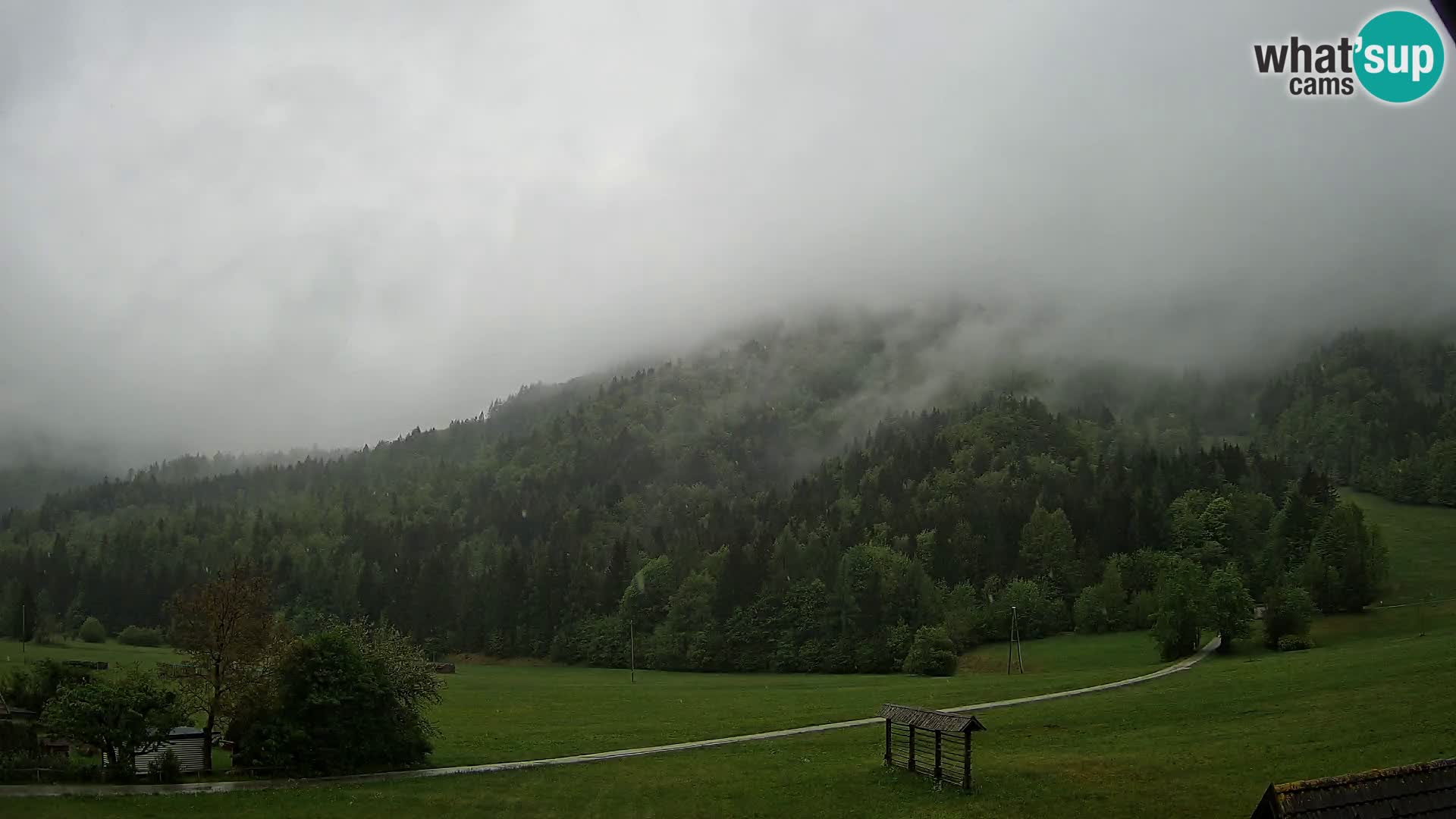 Gozd Martuljek –  planinski lanac Špik
