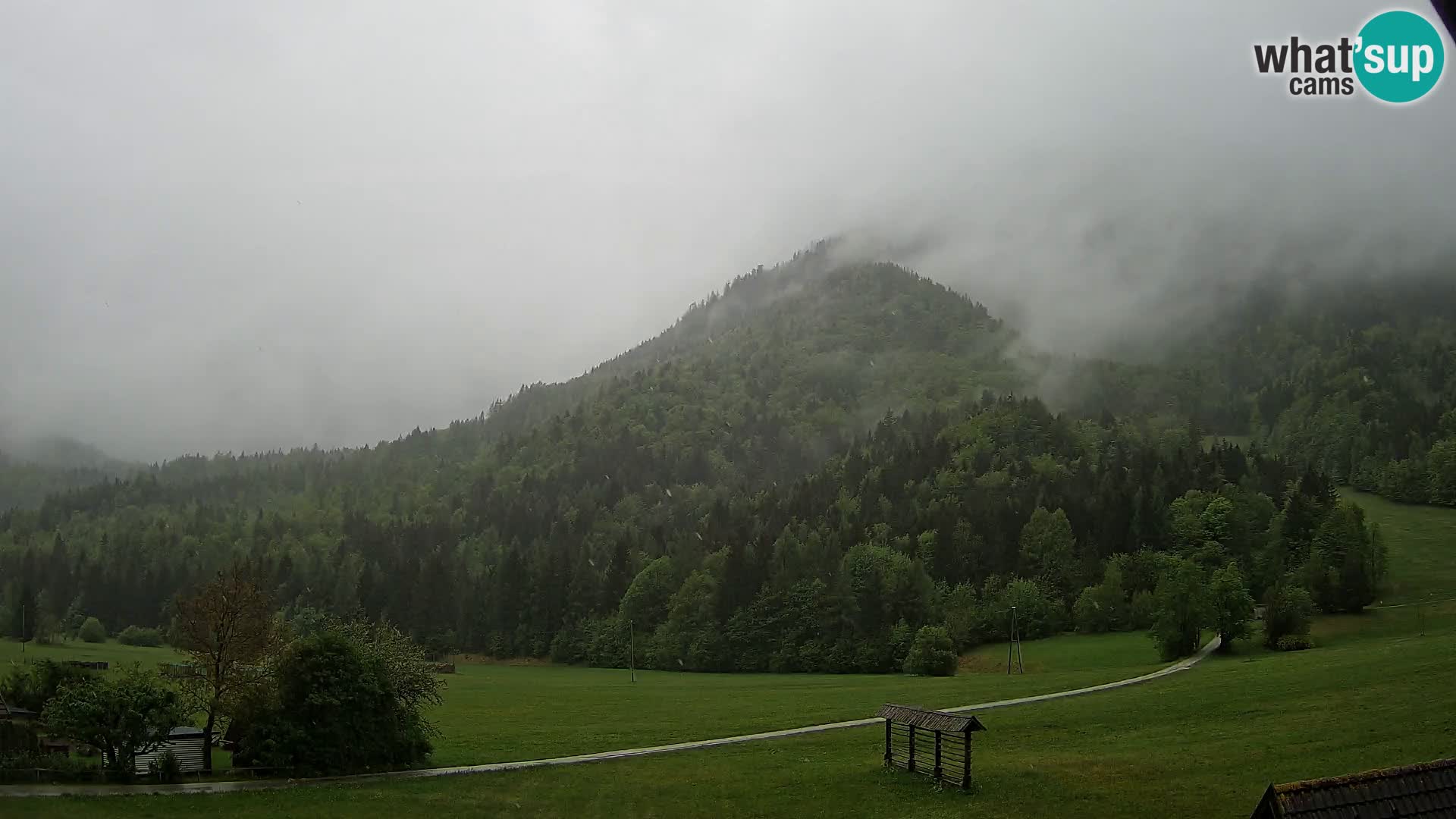 Gozd Martuljek – Špikova skupina