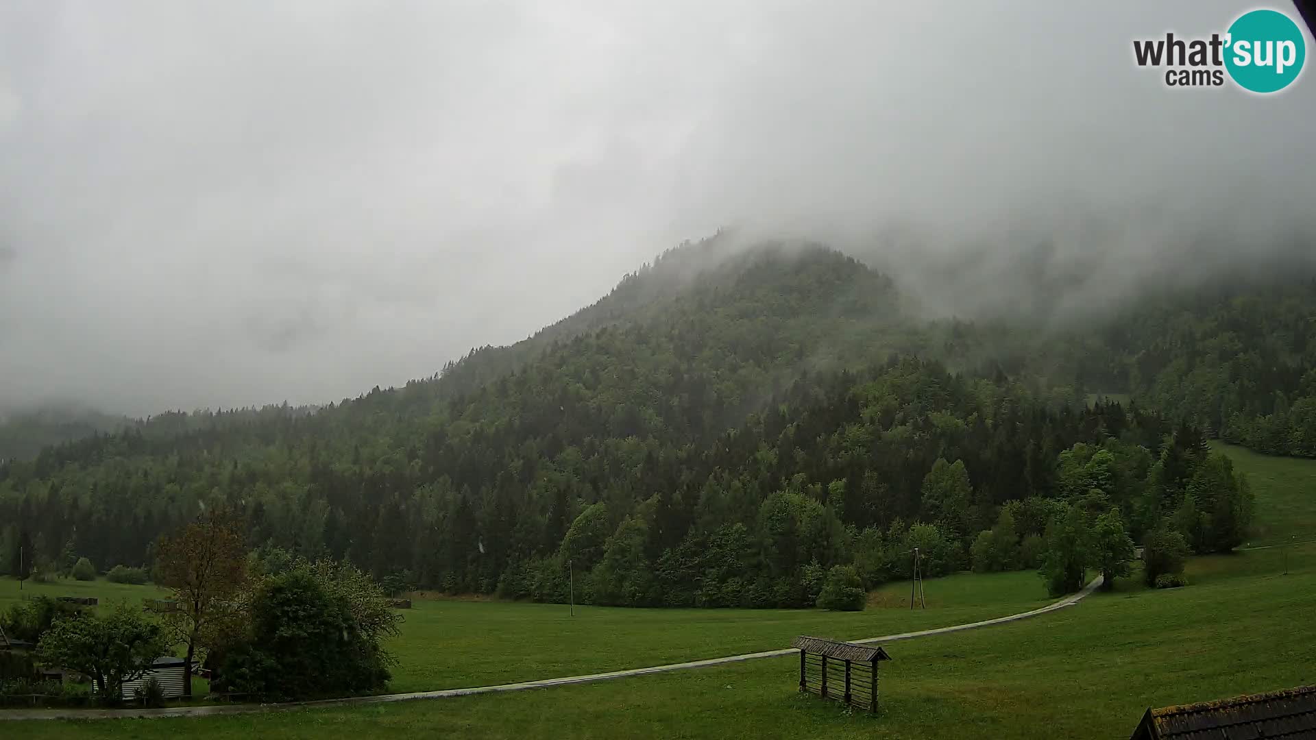 Gozd Martuljek – Špik Mountain Group
