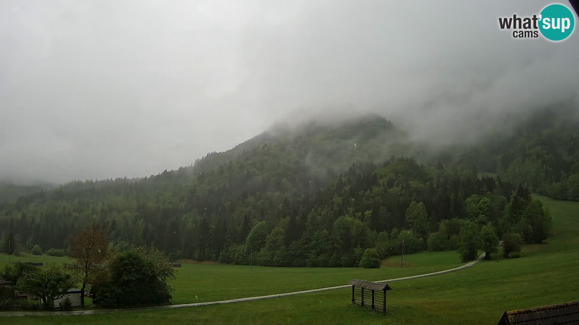 Gozd Martuljek –  planinski lanac Špik