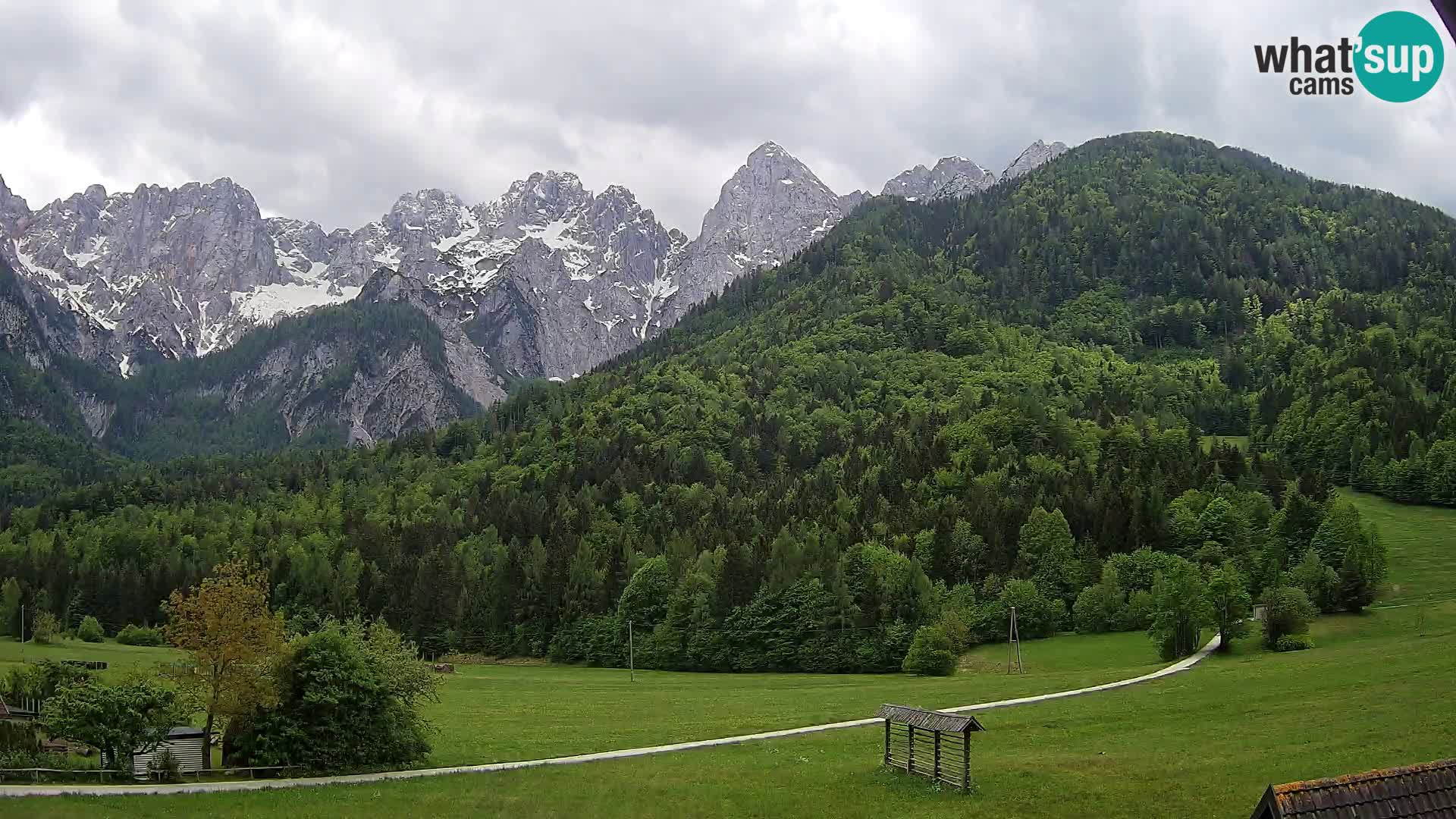 Gozd Martuljek – Špik Mountain Group