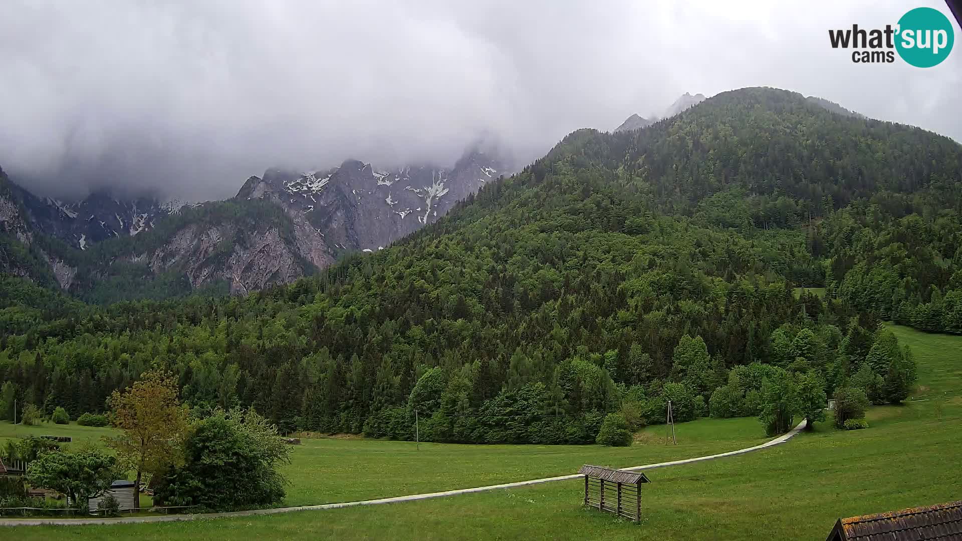 Gozd Martuljek – Špik Mountain Group