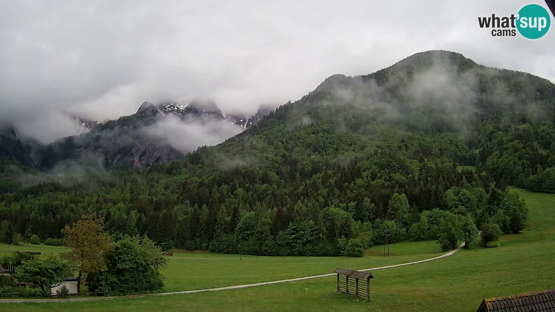 Gozd Martuljek – Špik Mountain Group
