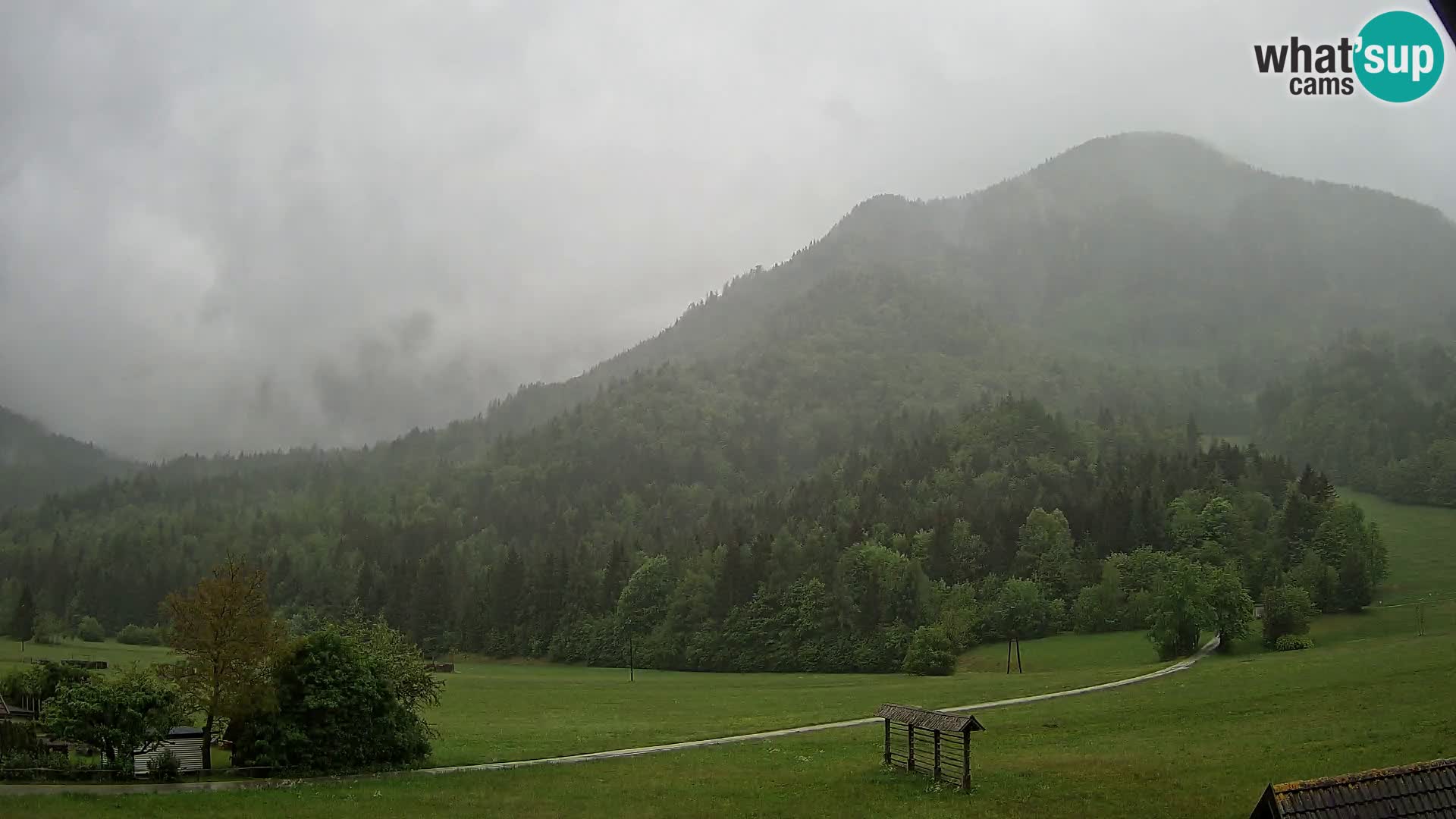 Gozd Martuljek –  planinski lanac Špik