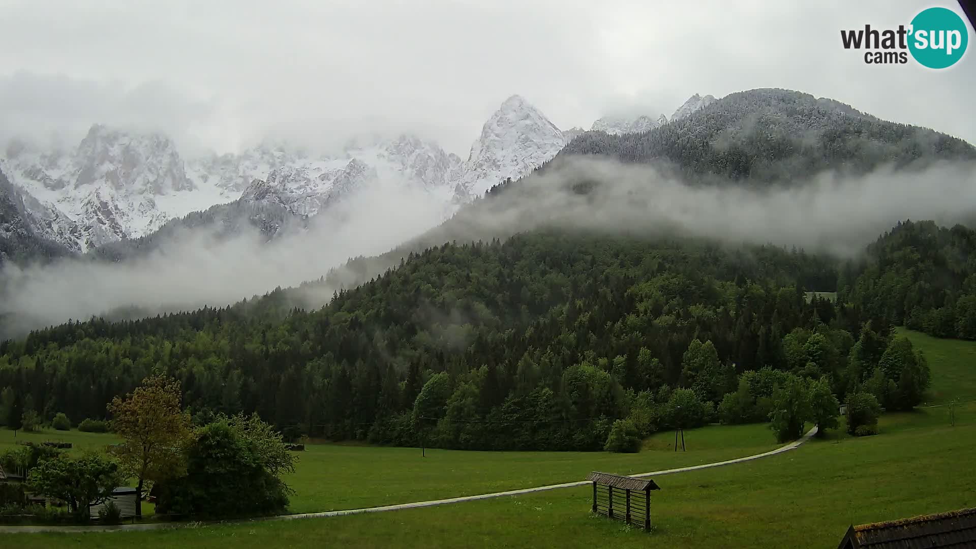 Gozd Martuljek – Špik Mountain Group