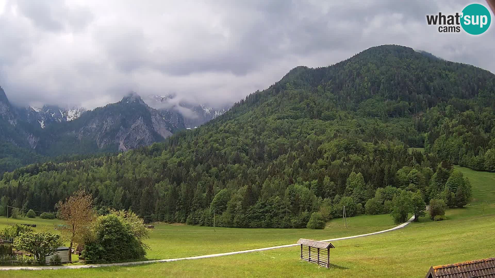 Gozd Martuljek –  planinski lanac Špik