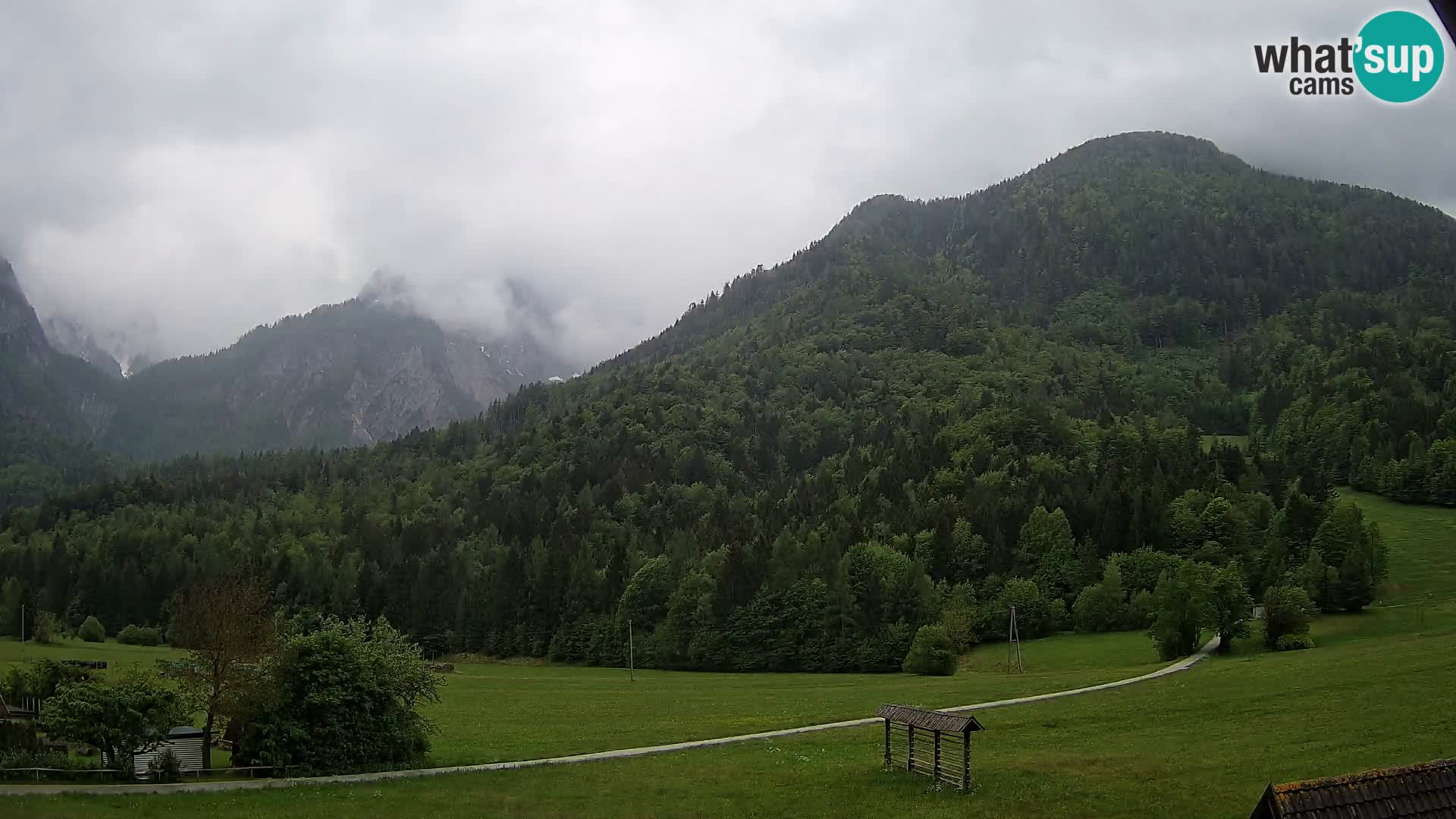 Gozd Martuljek – planinski lanac Špik