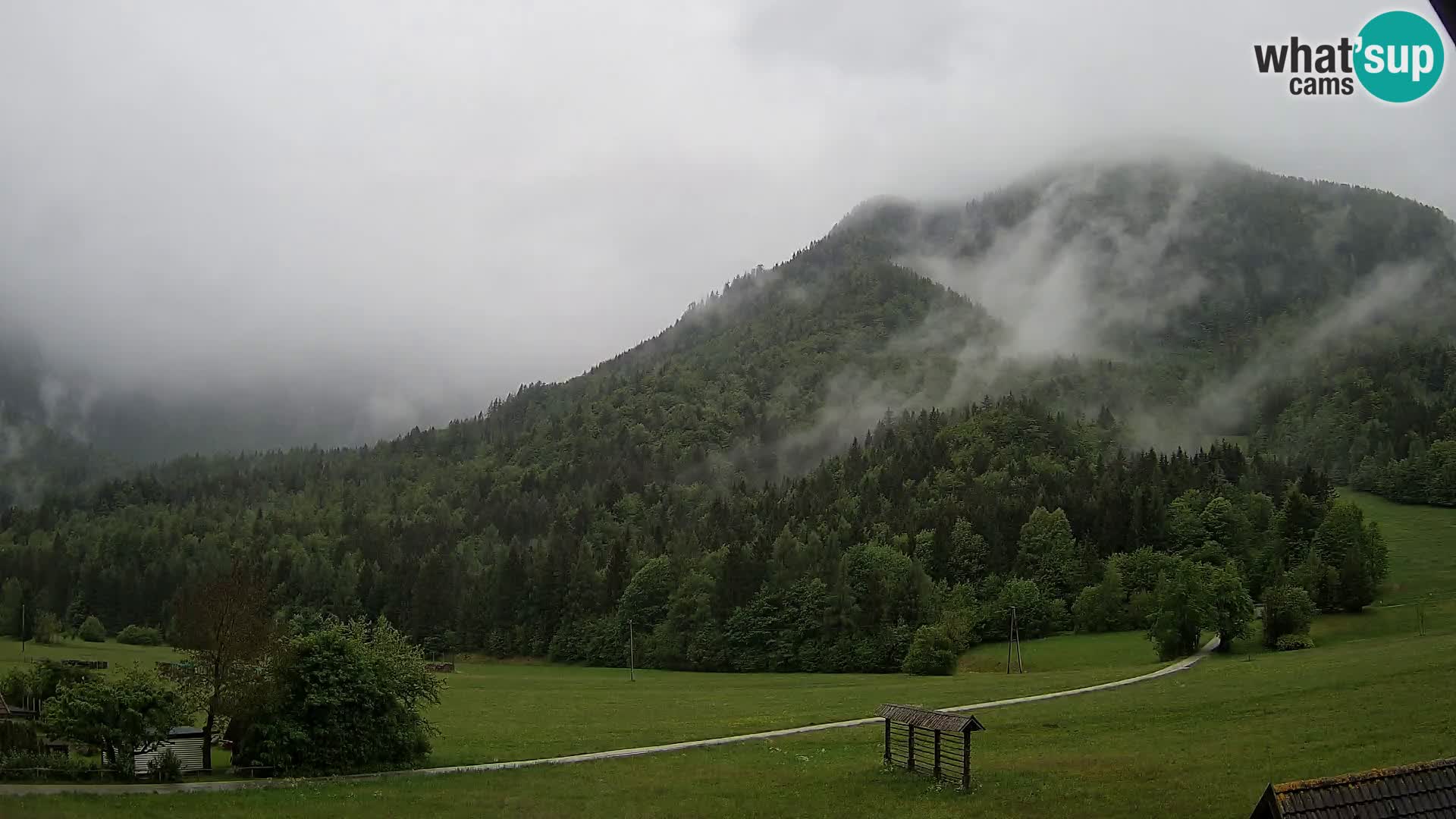 Gozd Martuljek – Špik Mountain Group