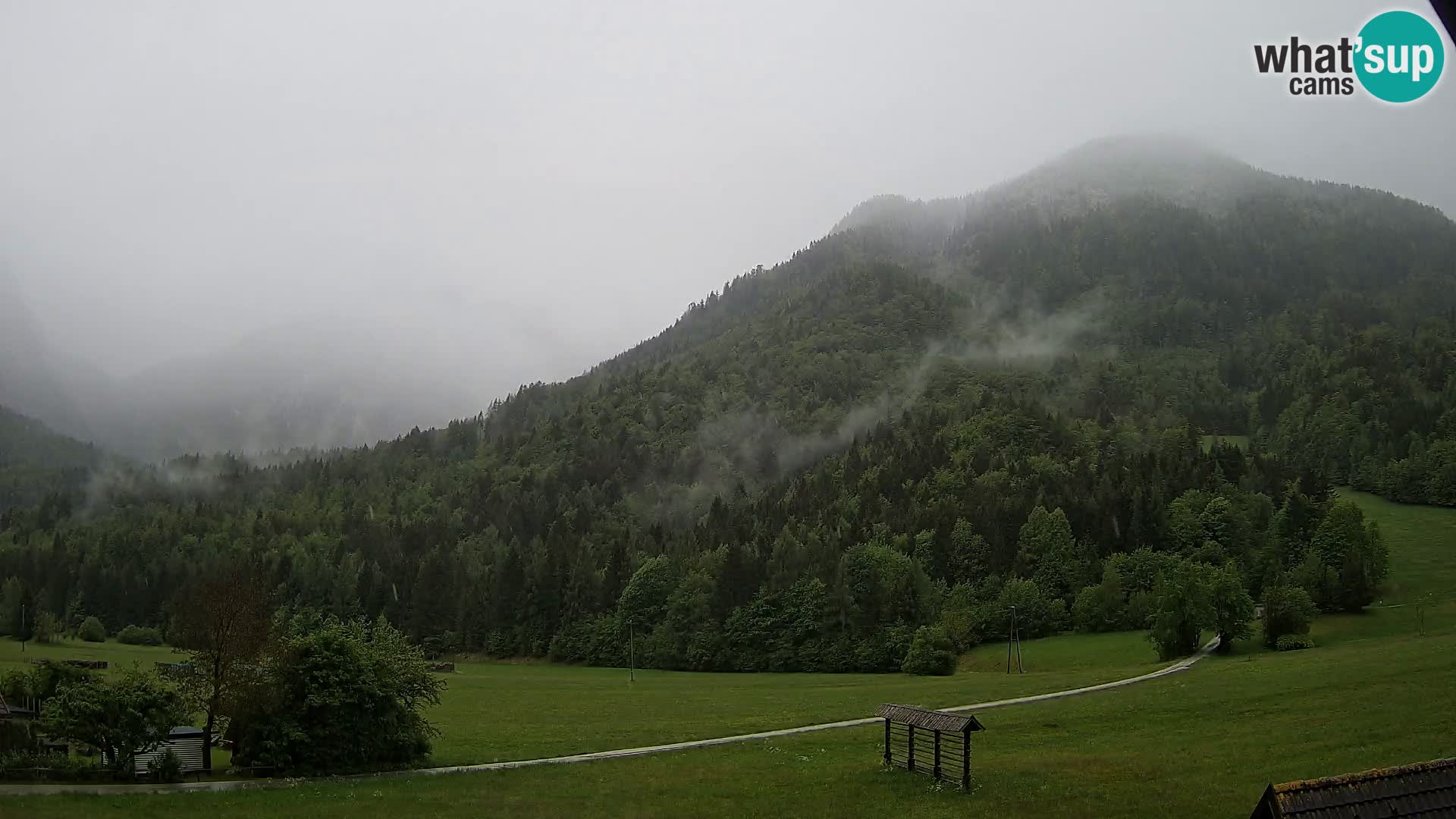 Gozd Martuljek – Špik Mountain Group