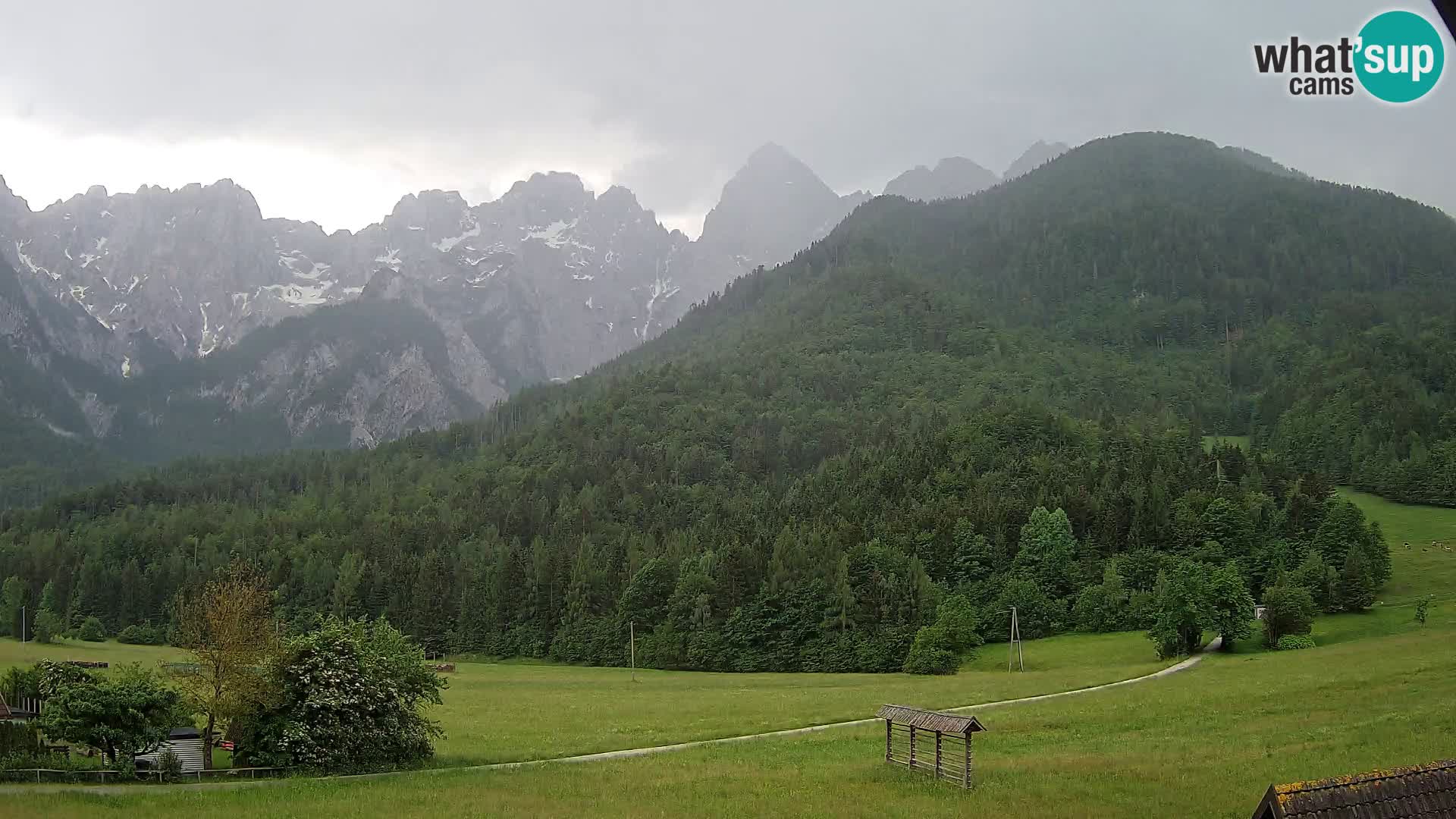 Gozd Martuljek – Špikova skupina