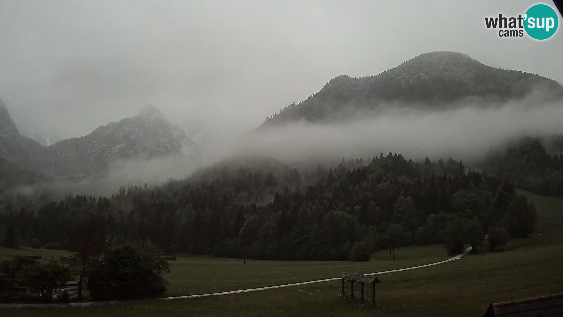 Gozd Martuljek – Špik Mountain Group