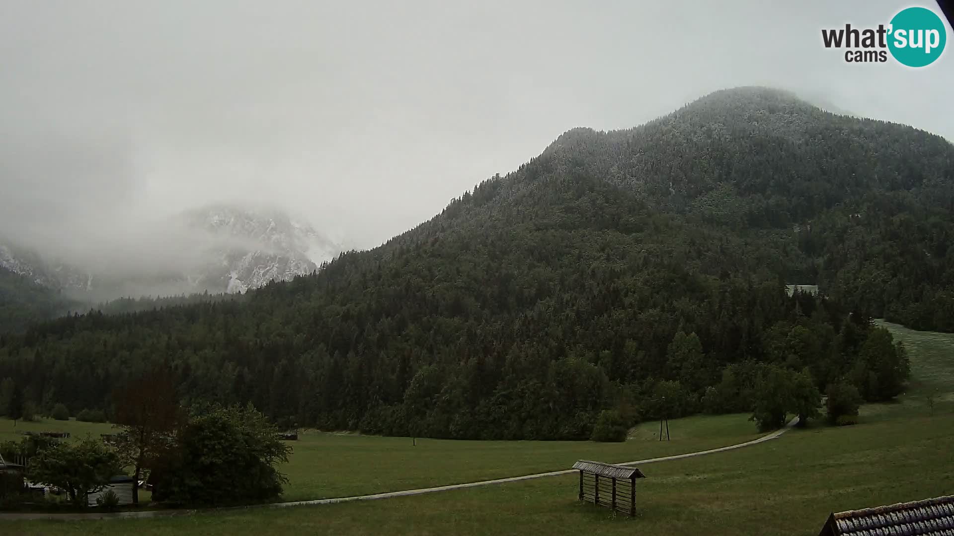 Gozd Martuljek – Špik Mountain Group