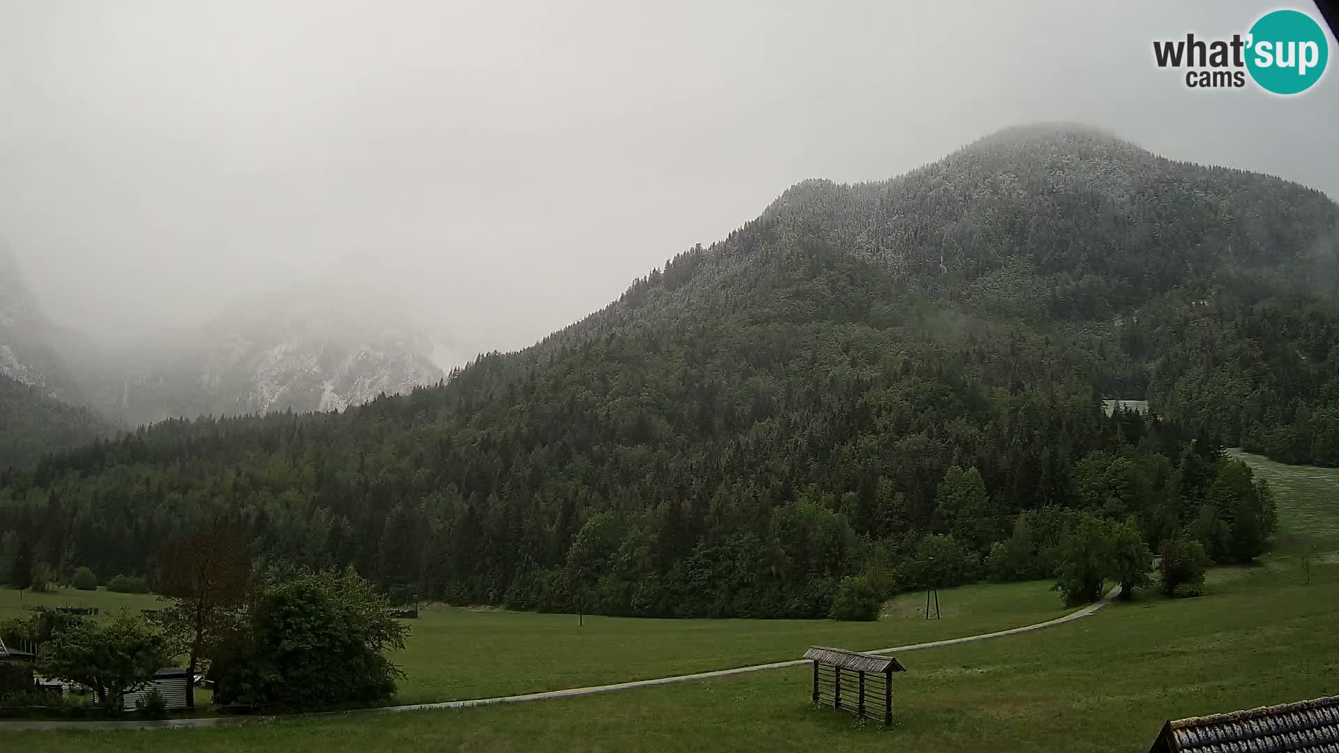 Gozd Martuljek – Špikova skupina