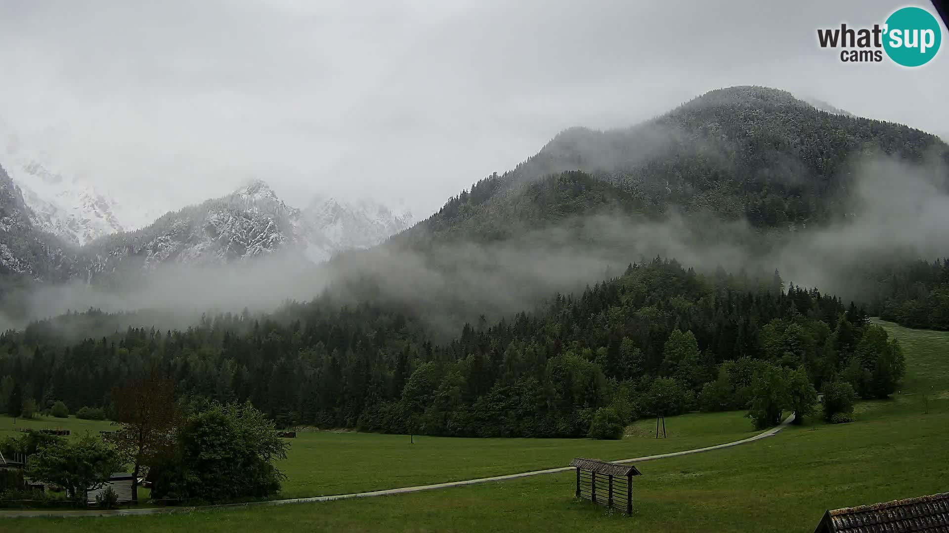 Gozd Martuljek – Špik Mountain Group