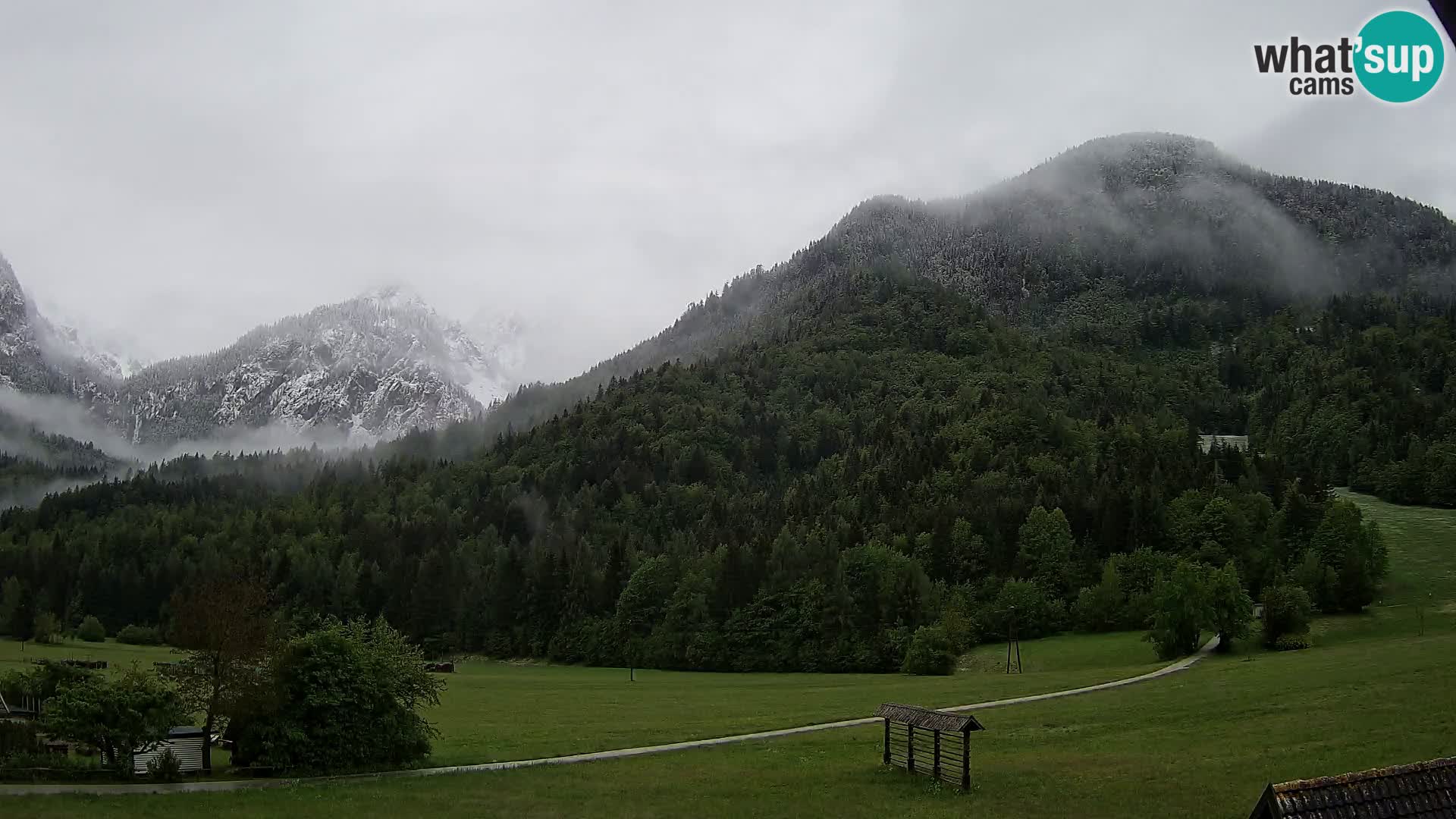 Gozd Martuljek –  planinski lanac Špik