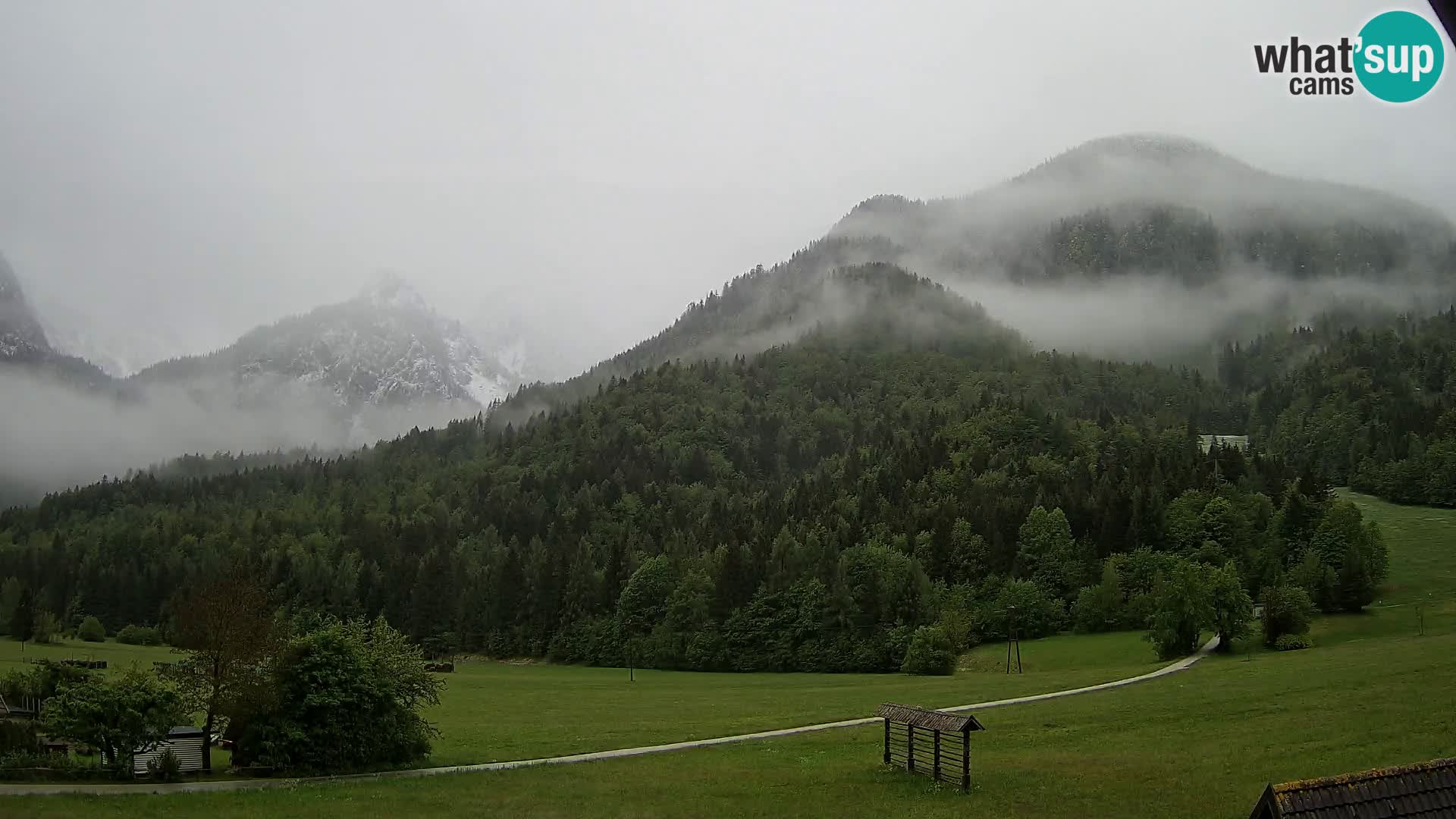 Gozd Martuljek –  planinski lanac Špik